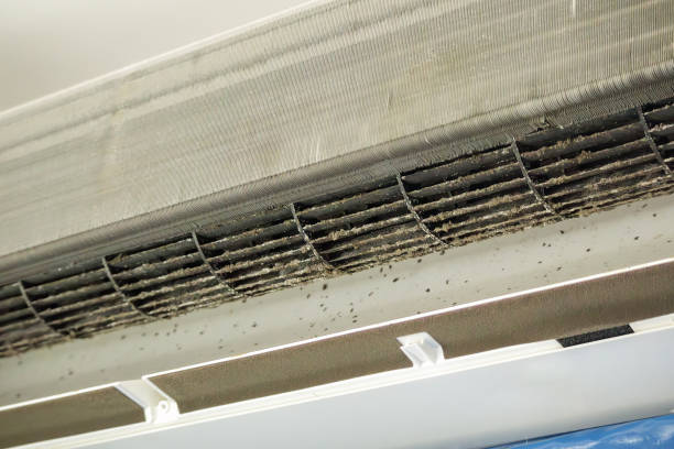 Best Affordable Duct Cleaning Services  in Airy Heights, WA