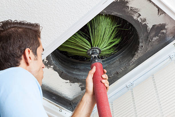 Best Professional Duct Cleaning Services  in Airy Heights, WA